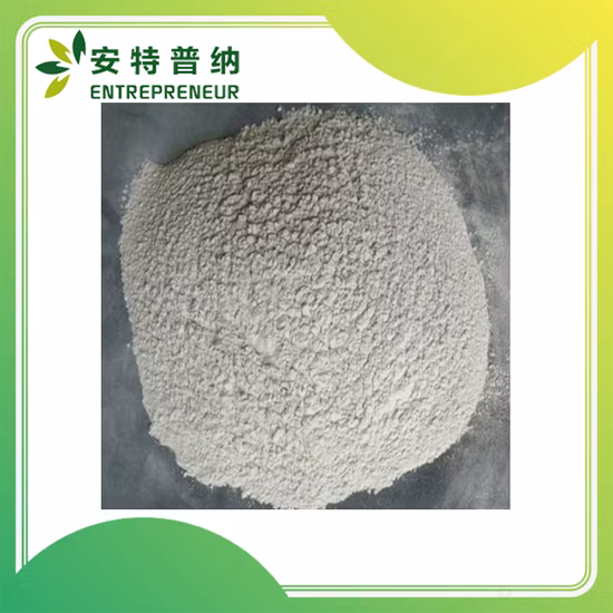 Safe Delivery Aluminium Magnesium Silicate (2: 1: 2) CAS 12511